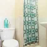 Zohars House